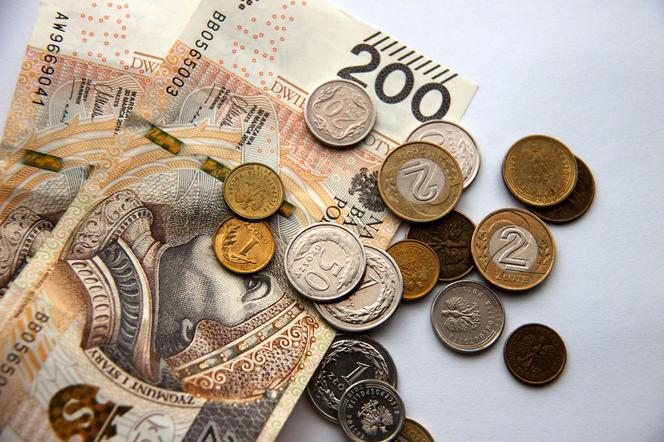 pieniądze, polskie banknoty i bilon