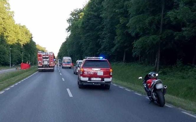 Iława. Adam zginął w wypadku w drodze do chorego syna. Miesiąc wcześniej stracił ojca [ZDJĘCIA]