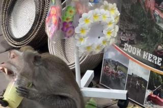 Rajskie wakacje Oli Kwaśniewskiej i jej męża Kuby Badacha