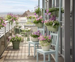 Masz balkon, ale brak czasu? Te rośliny sobie poradzą!