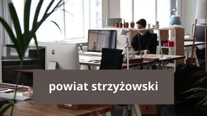 powiat strzyżowski – 16,7 proc.  