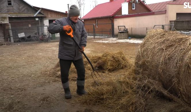 Rolnicy. Podlasie. Gienek i Sławek karmią zwierzęta. " A nie przestraszą się ciebie krowy?"