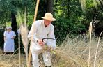 W Skansenie odbyły się retro żniwa, żęto żyto metodami pradziadków