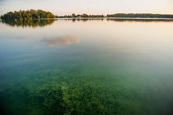 Dzierżno Małe to ukryta leśna perła