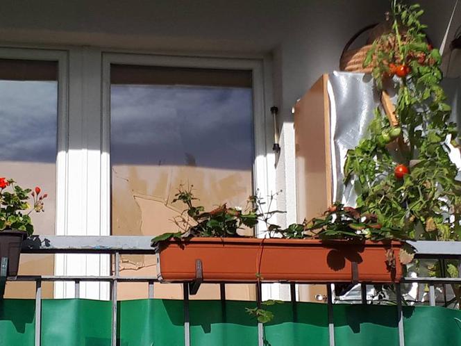 Rozstrzelał swoją ukochaną