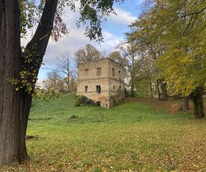 Zamek w Dąbrówce Starzeńskiej