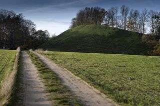 Niesamowite odkrycie w Kałdusie niedaleko Chełmna. Pod Górą św. Wawrzyńca odnaleziono pochówki dzieci, mogły być skrępowane przed pogrzebaniem 