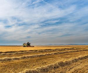 To ważne! Rolniku, sprawdź co nakłada na Ciebie prawo!