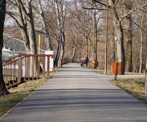 Mieszkańcy Lublina poczuli wiosnę. Na termometrach było ponad 20 stopni! Wiosenna odsłona Parku Ludowego w obiektywie