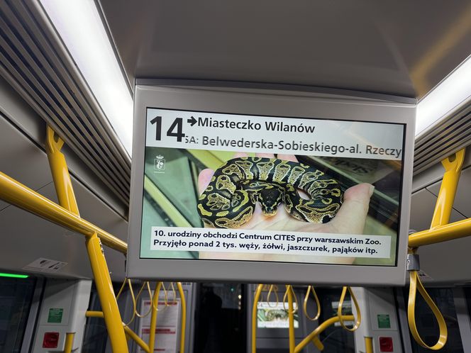 Warszawa. Tramwaj do Wilanowa