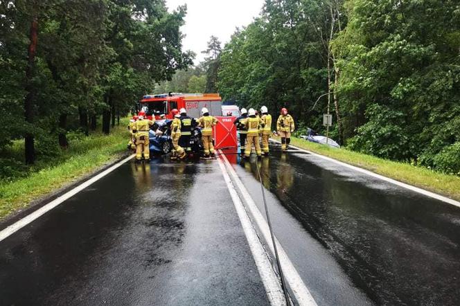 Tragiczny wypadek pod Tarnobrzegiem. Nie żyją rodzice Sebastiana, Artura i Norberta