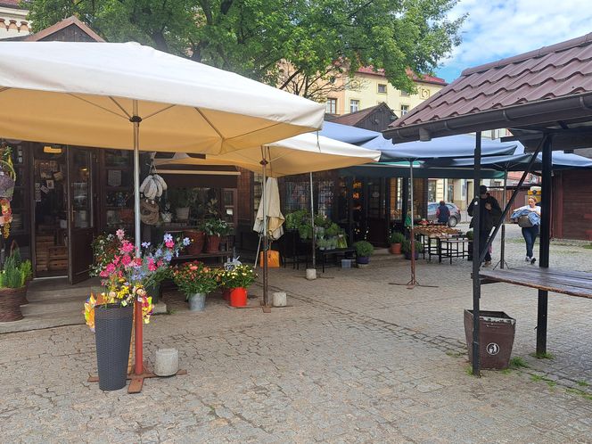 Dzielnica Dębniki w Krakowie