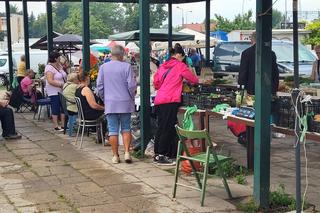 Grzyby w Olsztynie towarem luksusowym. Za słoik marynowanych zapłacisz nawet 150 zł!
