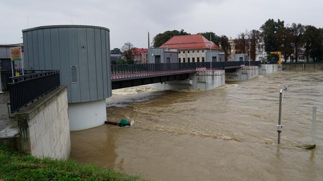 Nysa. Trwa ewakuacja mieszkańców