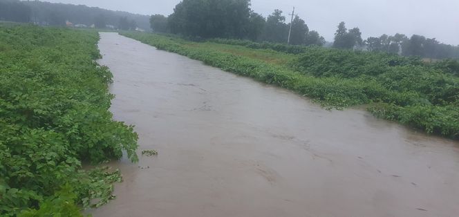 Gmina Czechowice-Dziedzice