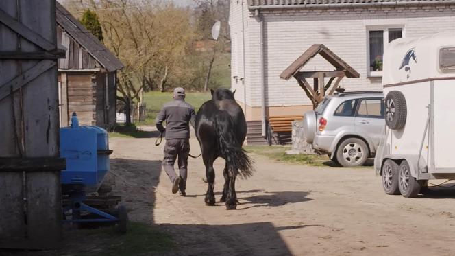 Gospodarstwo Jarka i Agnieszki z Bronowa