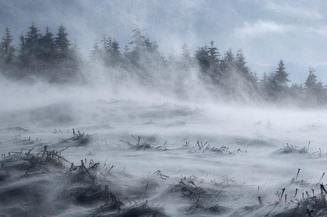 Podkarpackie. Alerty przed wichurą do 90 km/h, śniegiem i zamieciami! Czeka nas pogodowy armagedon? [17.01.022]