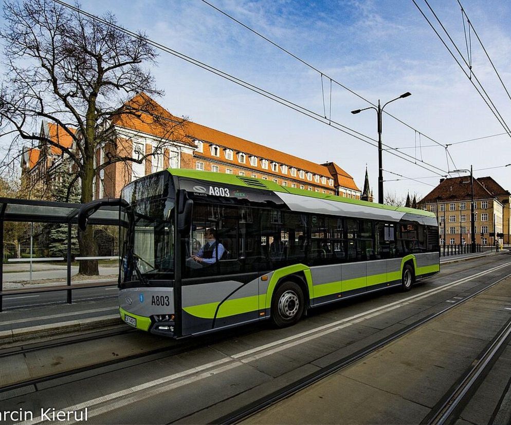 Burza wokół linii nr 116 w Olsztynie. Czy połączenie powróci?