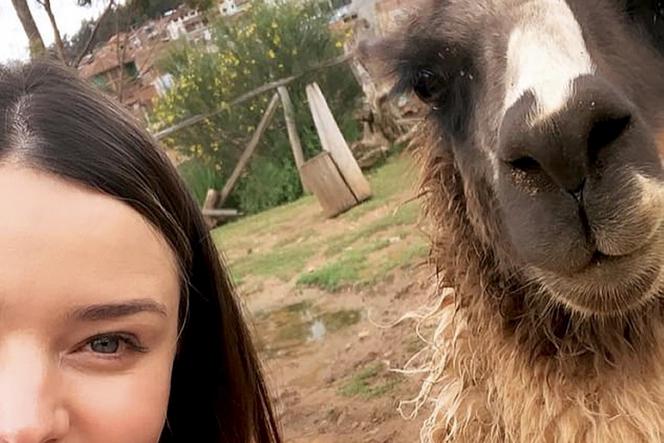 Lama zepsuła jej selfie