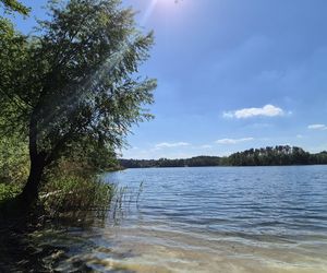 To jezioro w Olsztynie ma niezwykle czystą wodę. Jest kilka dzikich plaż, które świecą pustkami