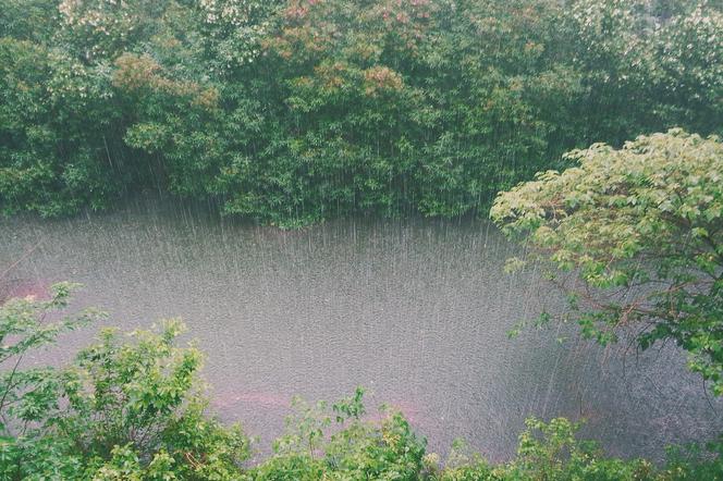 Silny deszcz na Dolnym Śląsku