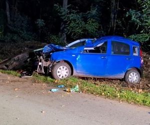 Wypadek w Podebłociu. Auto zderzyło się z łosiem