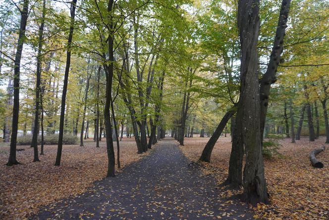 Park Lubomirskich w Białymstoku jesienią 