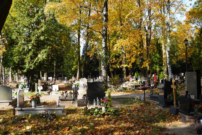 Cmentarz Jeżycki na poznańskich Ogrodach