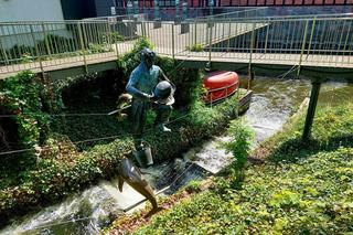 Zachwycające rzeźby Jerzego Kędziory balansują nad miastem. W Bydgoszczy trwa niecodzienna wystawa