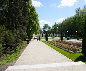 Różanka w Parku Planty po remoncie