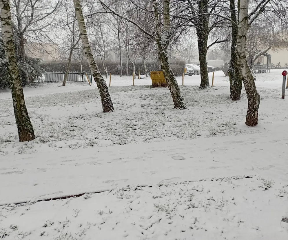 Tak wygląda Poznań w śnieżnej scenerii [ZDJĘCIA]