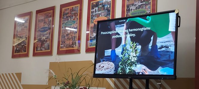 Ogród sensoryczno- naukowy przy SP nr 10 w Zamościu