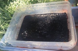 Kolejny cios w narkobiznes. Policja zlikwidowała tajne laboratorium pod Bydgoszczą!