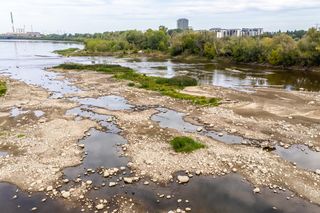 Tylko 6 cm! Najniższy od lat poziom Wisły to także alarm dla architektów i urbanistów. Betonowaliśmy koryta rzek i rynki miast. Dziś to się zmienia