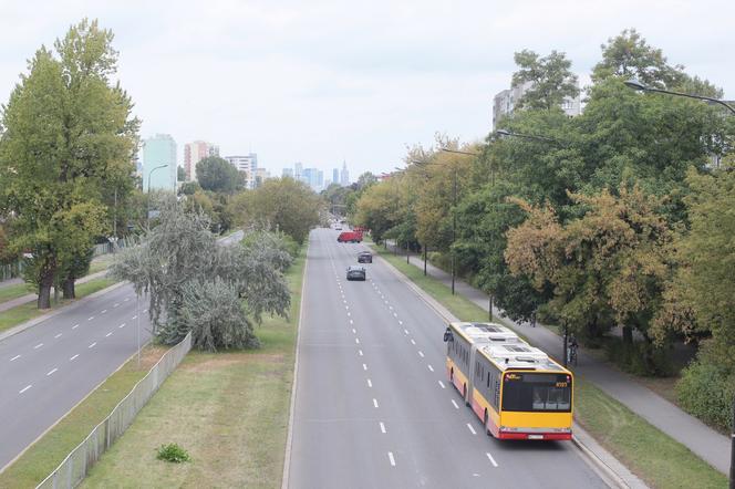 Tak tramwajarze zwężą ulice pod budowę trasy do Wilanowa