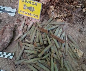 Niebezpieczne znalezisko w starachowickich lasach
