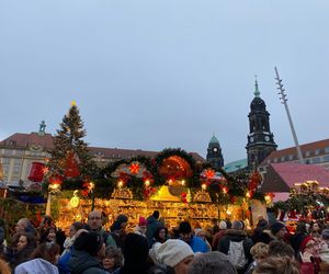 Najstarszy jarmark bożonarodzeniowy w Niemczech. Drezno zachwyca turystów z całego świata 