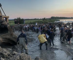 Poszukiwacze bursztynu w Rewie. Jak wyglądają poszukiwania złota Bałtyku? 