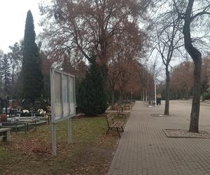 Na jednej z olsztyńskich nekropolii powstaną nowe „amerykańskie nagrobki” [AUDIO]