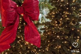 Gwiazdy pochwaliły się choinkami. Zobaczcie, jak w tym roku przyozdobiły drzewka