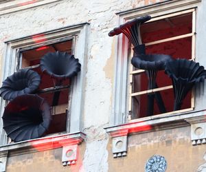 Noc Kultury 2025 przeszła już do historii