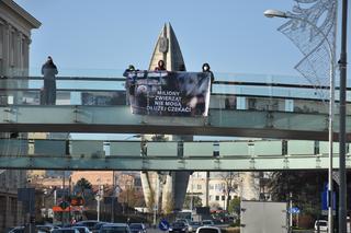 Dzień Bez Futra w Rzeszowie. Aktywiści wywiesili baner na ogrągłej kładce