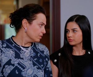 Miłość i nadzieja odc. 282. Cavidan, Bahar