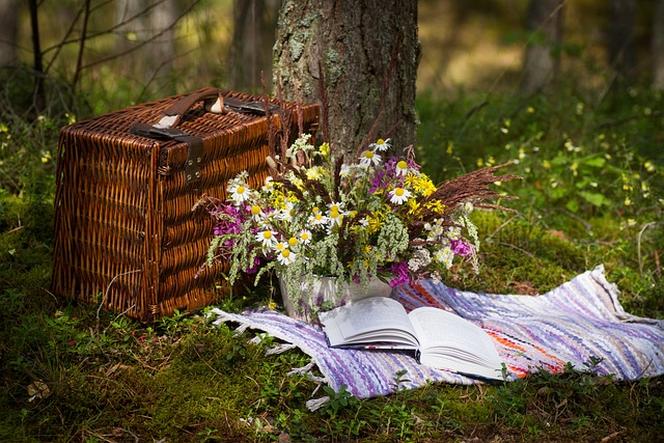 Ostatni tydzień lipca w Letniej Czytelni Norwida