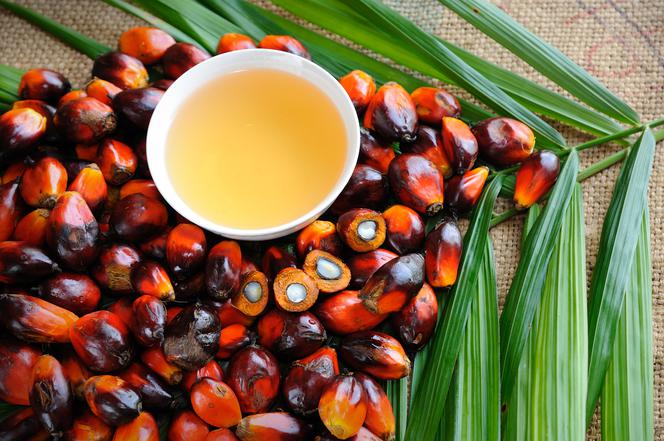 Olej palmowy w mleku - czy jest szkodliwy dla niemowlęcia?