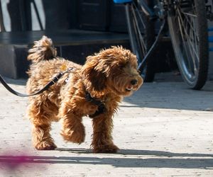 Anna Mucha ma w nosie zakazy