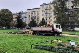 Mieszkańcy chcą żeby w  Krakowie powstał przejrzysty system informowania o wycinkach drzew