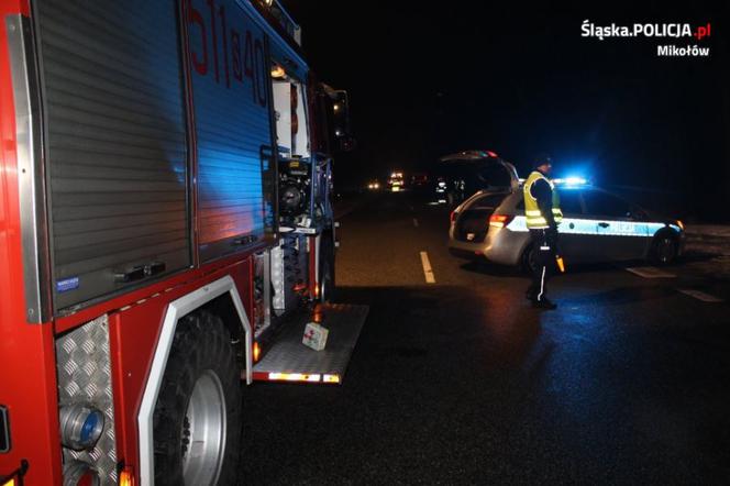 Zginął pod ciężarówką, bo kierowca nie dostrzegł go w nocy na drodze