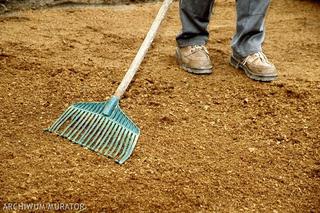 Zakładanie trawnika z rolki