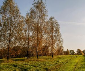 Mała wieś w woj. lubelskim z ważną historyczną atrakcją